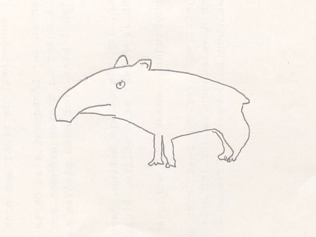 tapir 8811