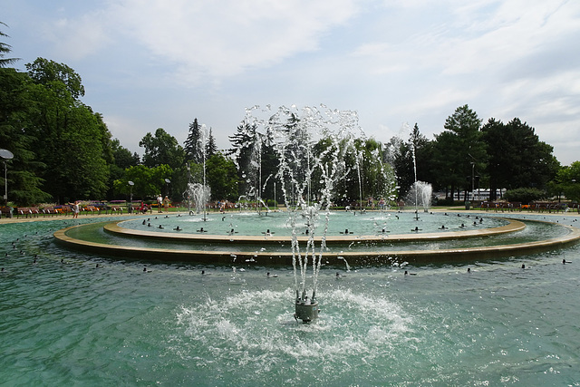 Fountain On Margaret Island