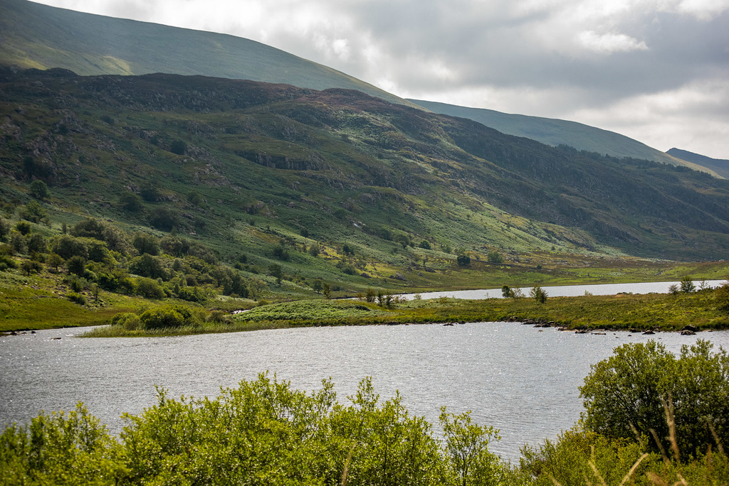 Lake Llannau