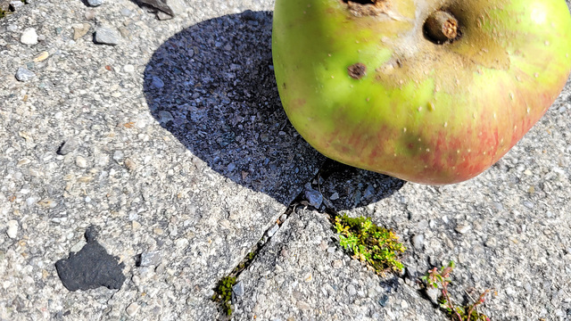 apple on the street