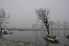 Stadlersee im Winter (© Buelipix)