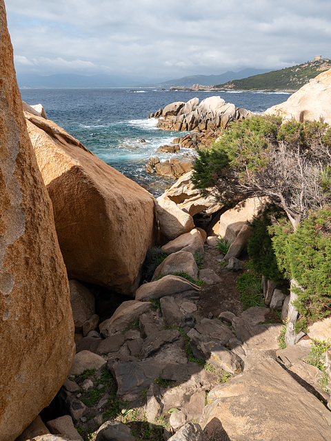 CORSICA - Le jardin du vent