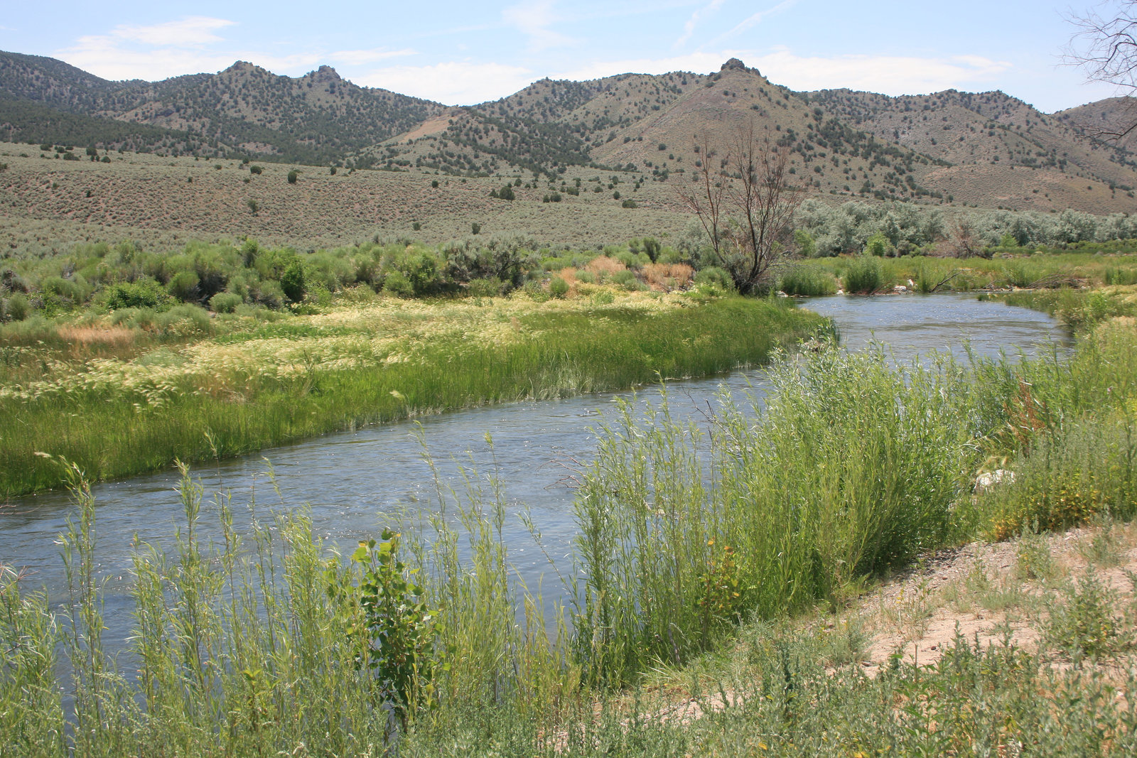 Beaver River