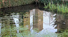 reflet d'hiver