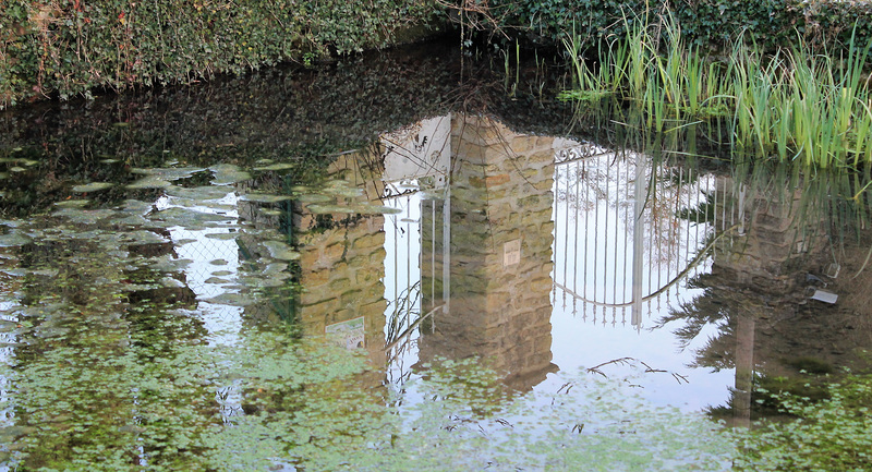 reflet d'hiver