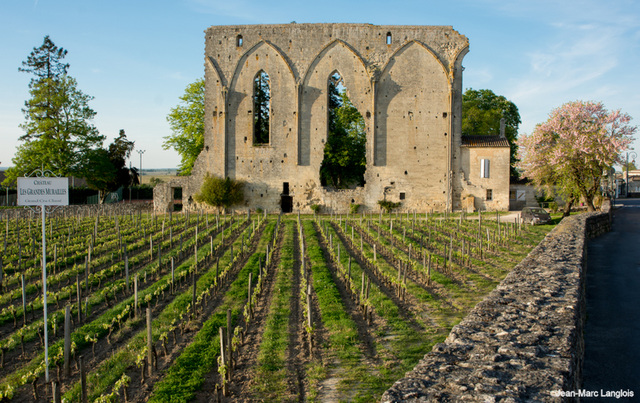 Saint-Emilion - Chateau Les Grandes Murailles