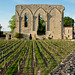 Saint-Emilion - Chateau Les Grandes Murailles