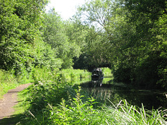 Longboat passing under the old disused iron railway bridge on the Staffs and Worcs Canal