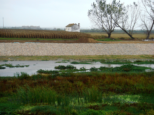 November and the river is dry up