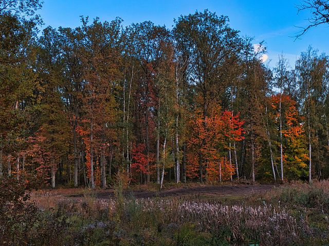 Herbsttag, Oktober 2019