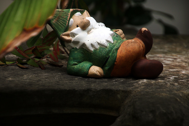 Malgré sa taille minuscule , j'ai repéré ce glandouilleur de Dormeur nonchalamment étendu sur un matelas de feuilles .  .