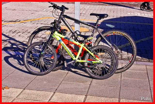 Bicicletas de familia