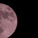 Full  Moon