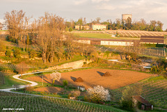 Saint-Emilion - Chateau Troplong-Mondot