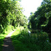 Staffs and Worcs Canal approaching Aldersley Junction
