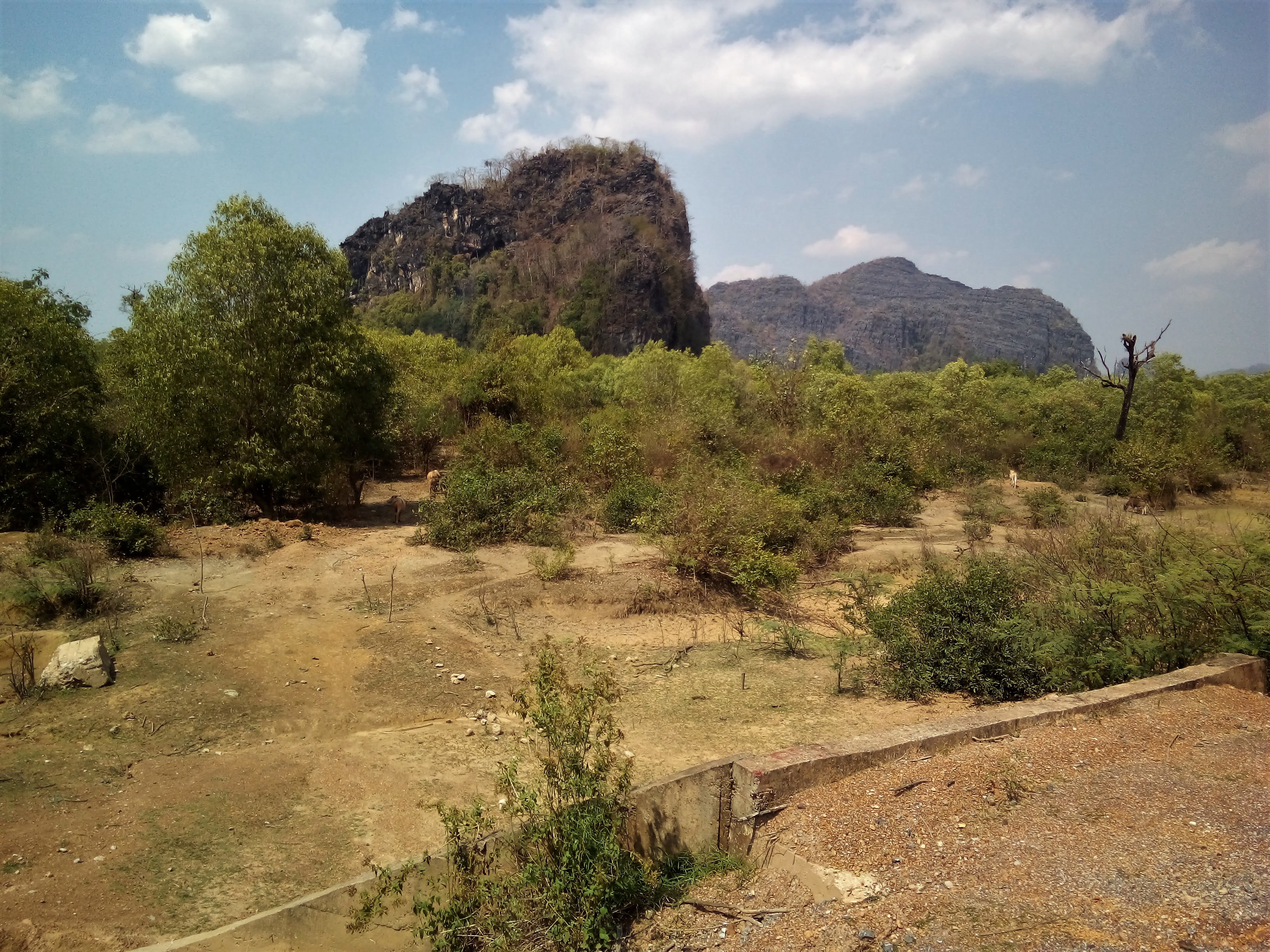 Laotian landscape