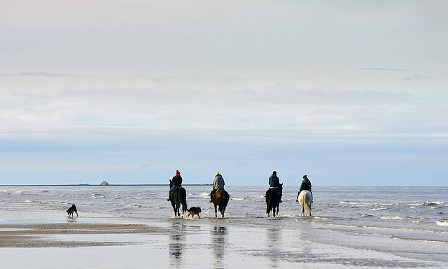 A walk in the sea ...