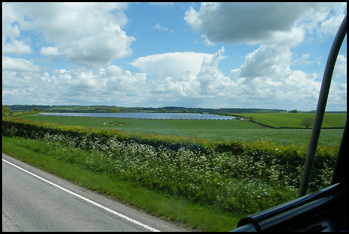 solar farm blots the landscape