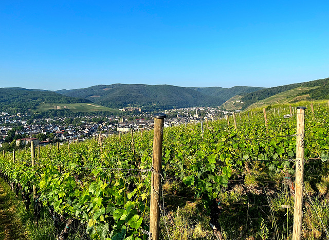 Blick auf Ahrweiler