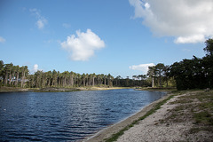 20140911 5133VRAw [NL]  Terschelling