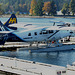 de Havilland Canada DHC-3 Turbo Otter C-GHAZ (Harbour Air)