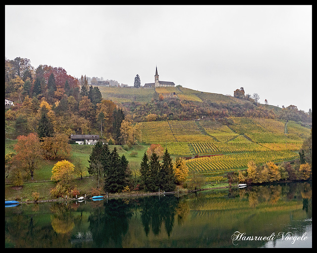 Kirche von Buchberg mit den Weinberg von Buchberg und Rüdlingen