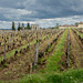 Saint-Emilion - Clos Fourtet et Grandes Murailles