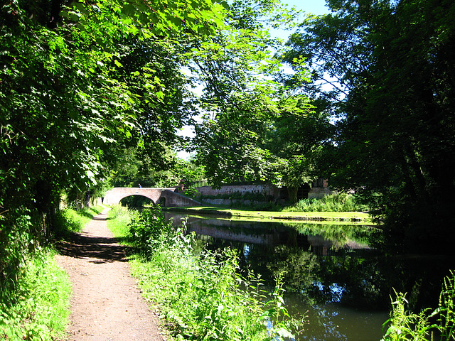 The Staffs and Worcs Canal at Aldersley Junction with the Birmingham Main Line Canal joining on the right