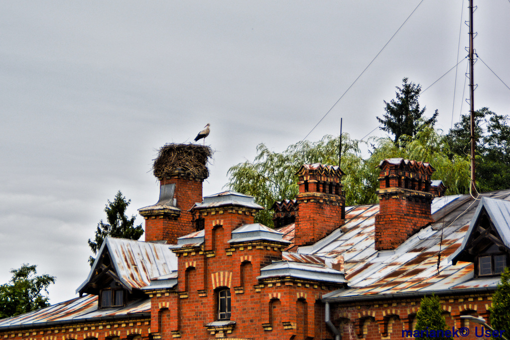 Children's Home in Białowieża