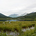 Alaska, Lake Tern and Cooper Mountains in the Background