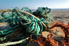 Turquoise and orange ropes on the beach