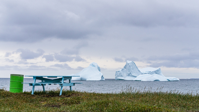 Bench with a view