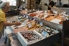 Der Reichtum des Meeres - The riches of the sea