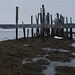 LowTide pilings