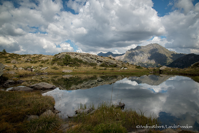 Si sta qui e si può solo percepire bellezza