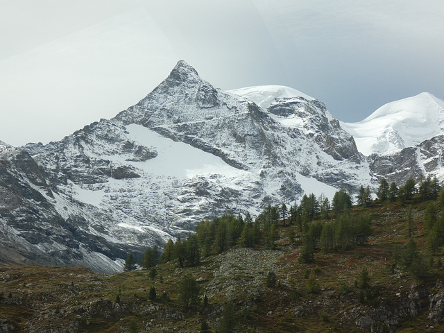 View From Bernina Express