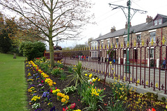 Spring Flowers At Beamish