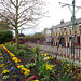 Spring Flowers At Beamish