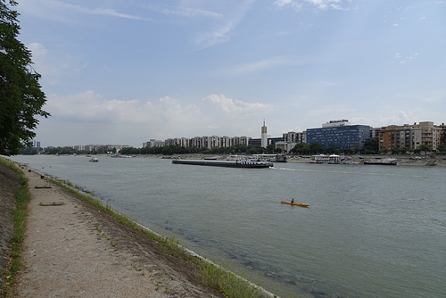 Danube View From Margaret Island