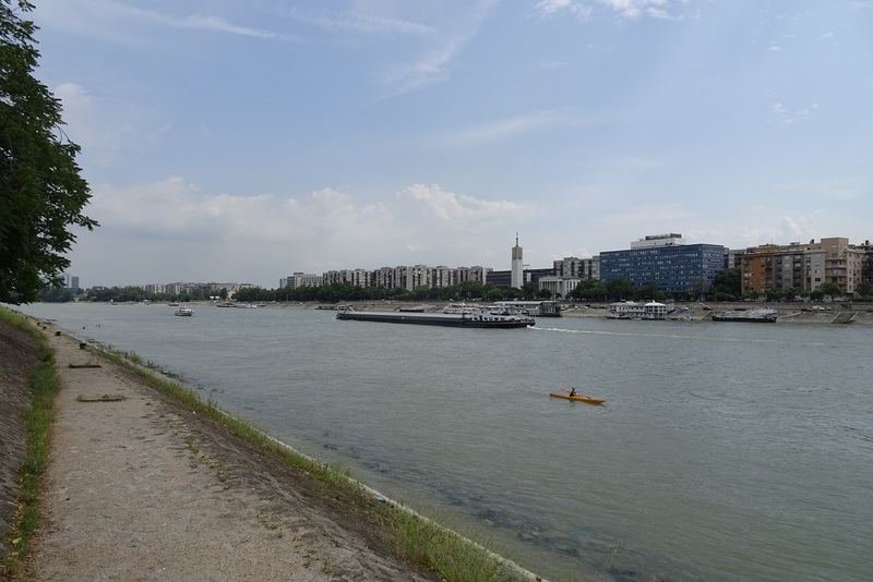 Danube View From Margaret Island