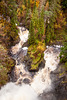 View from the top of Plodda Falls