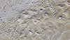 Le sable ... Marée, flux et vent