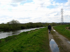 Looking west along the River Trent near High Bridge