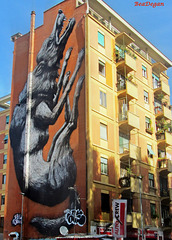 Street  Art 3-: Jumping Wolf