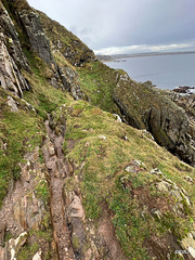 This narrow fissure of rock was the path at this point on the Coastal Trail!