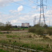 Looking towards Rugeley Power Station from the River Trent near High Bridge