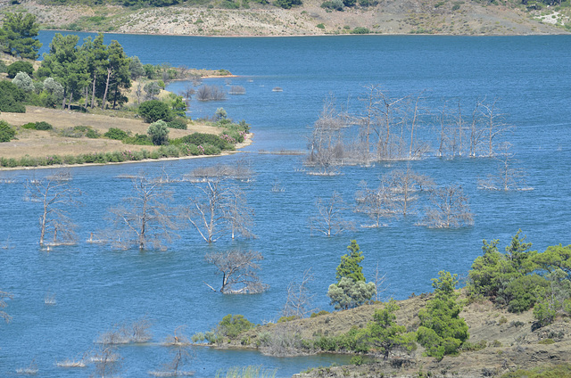 Rhodes, Trees Flooded in Gadoura Reservoir