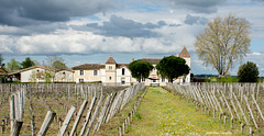 Saint-Emilion - La Gomerie