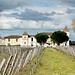 Saint-Emilion - La Gomerie