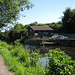 Wildside Activity Centre on the Staffs and Worcs Canal